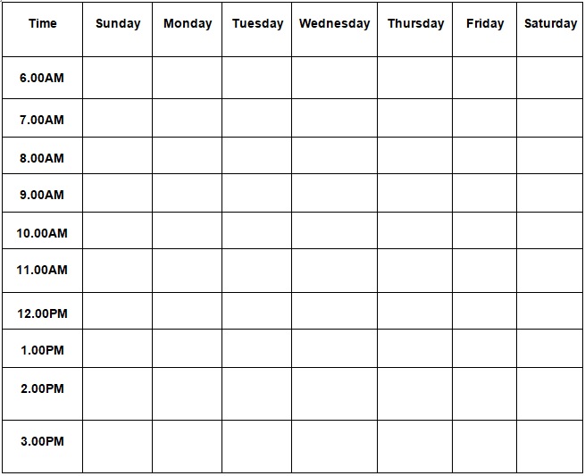 day wise hourly schedule template