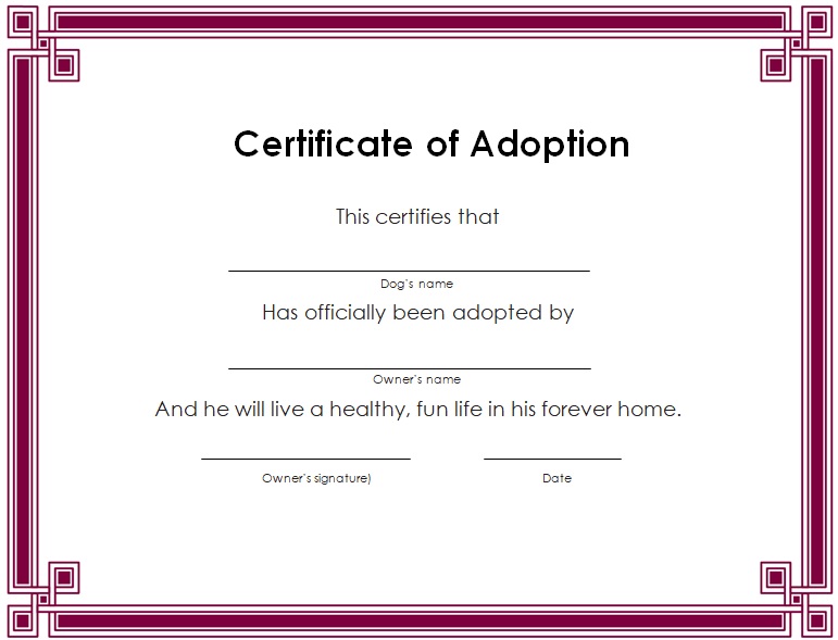 printable adoption certificate