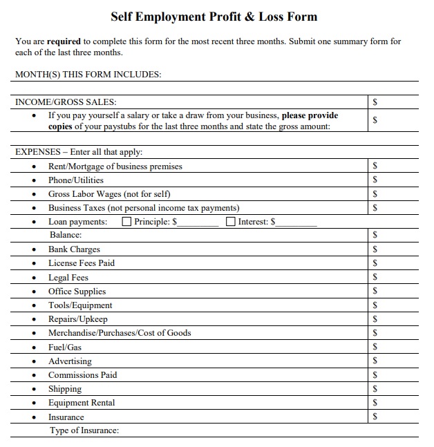 self employment profit & loss form