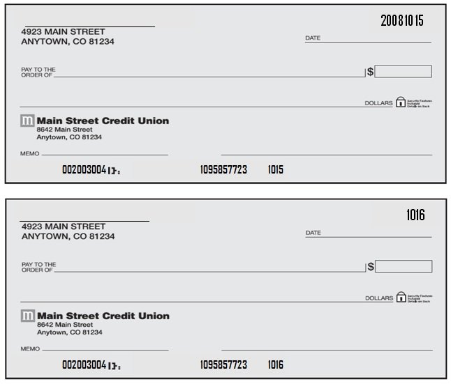 Fillable Printable Blank Business Check Template