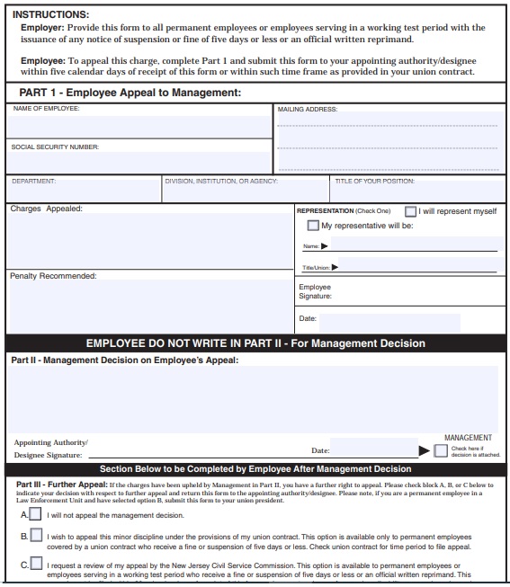 employee write up form 31 free printable documents word pdf