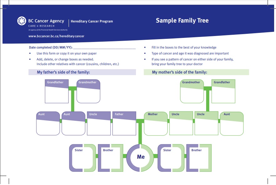 color coded family tree template