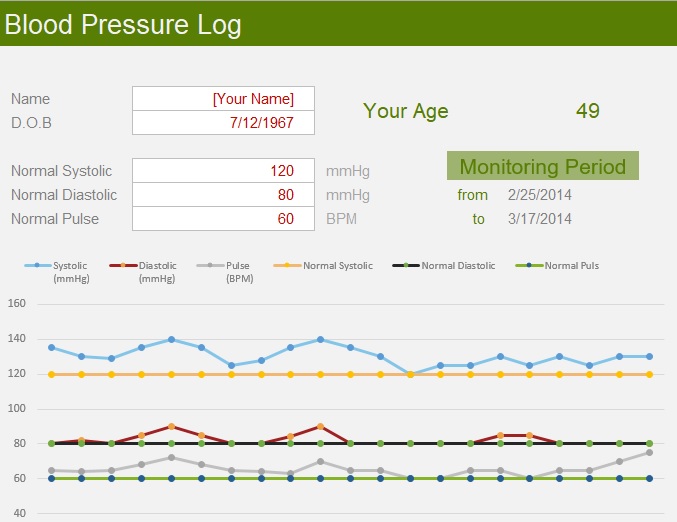 blood pressure log excel