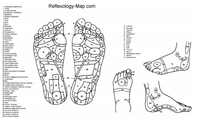 foot reflexology map