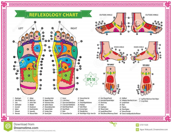 free foot reflexology chart 1
