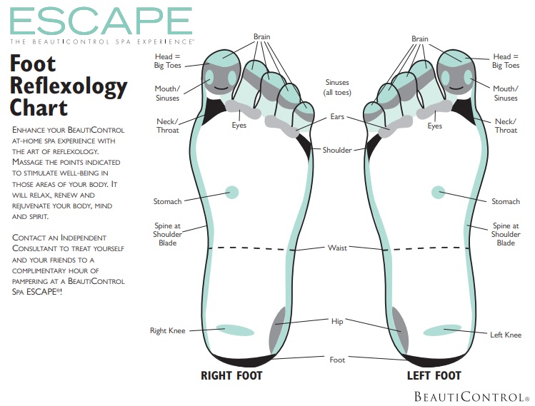 free foot reflexology chart 10