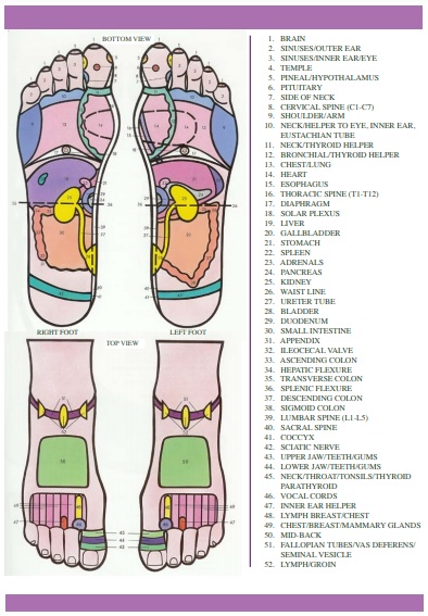 free foot reflexology chart 13