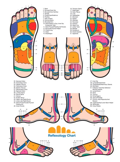 free foot reflexology chart 15