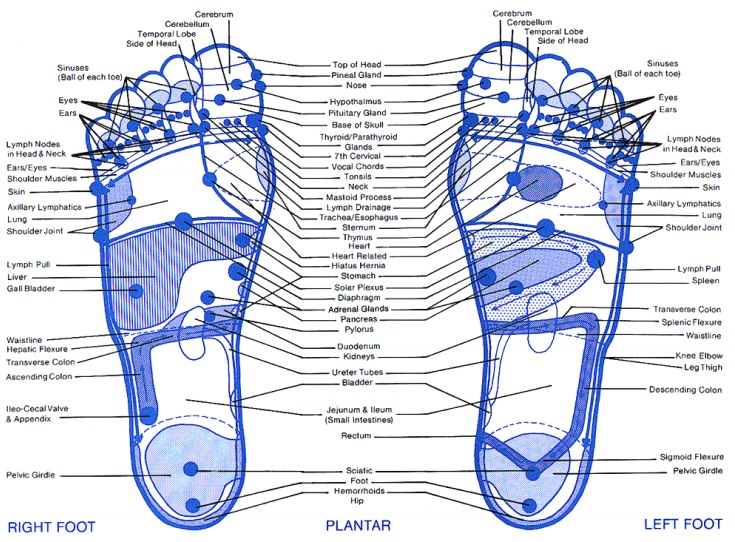 free foot reflexology chart 3