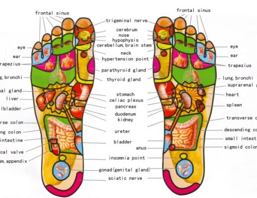 free foot reflexology chart 4