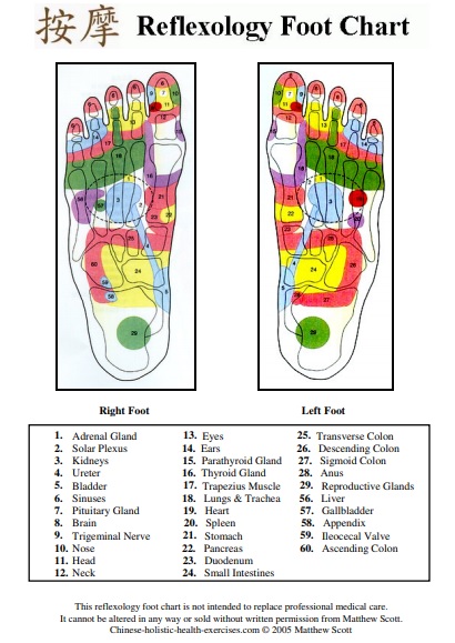 free foot reflexology chart 5