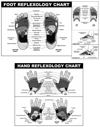 free foot reflexology chart 6
