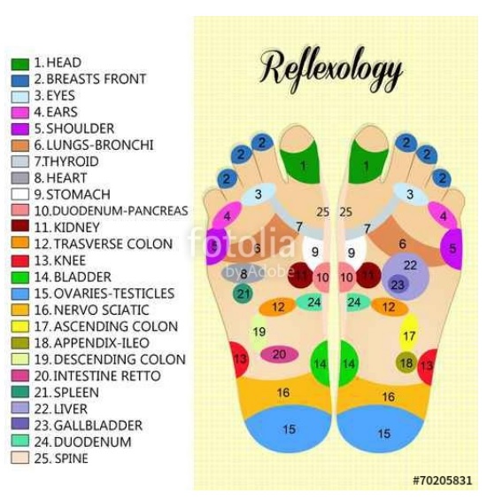 free foot reflexology chart 8