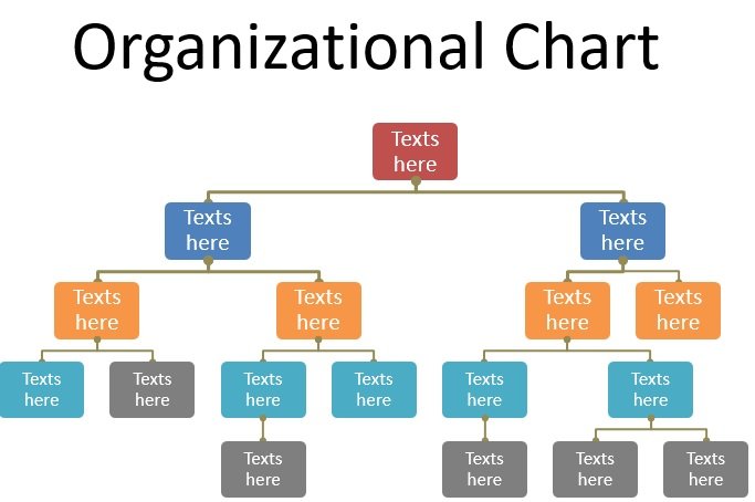 organizational chart template