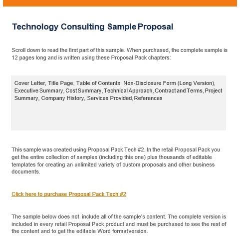 technology consulting proposal template