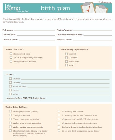 free birth plan template 4