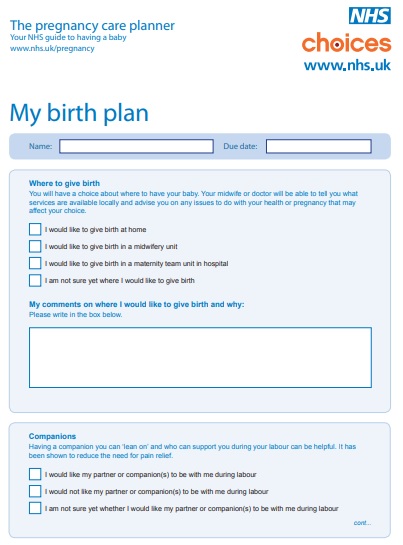 pregnancy birth plan template
