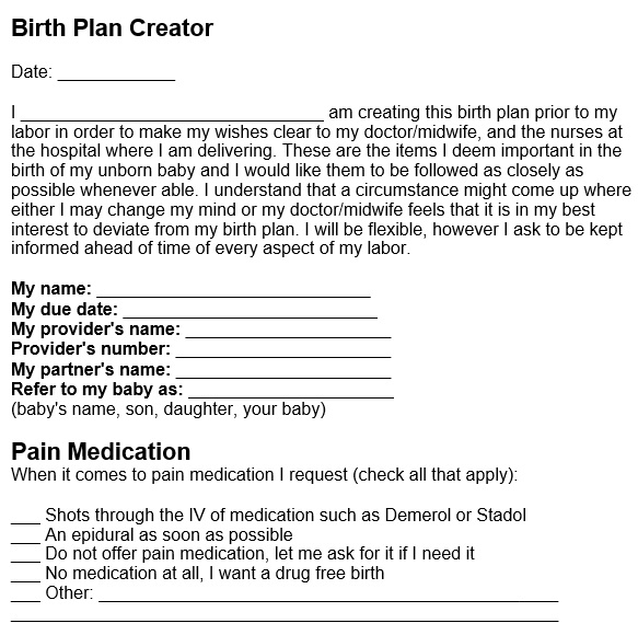 printable birth plan template 2