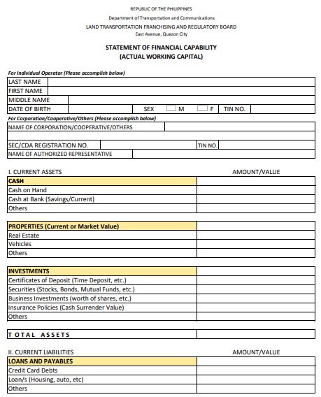 financial capability statement template