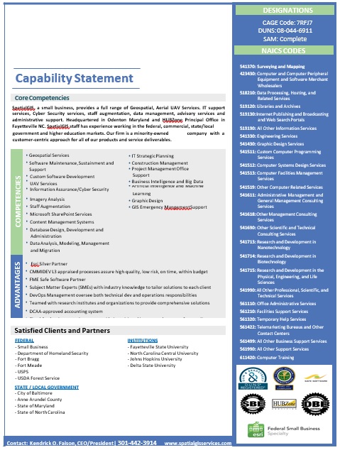 free capability statement template 3