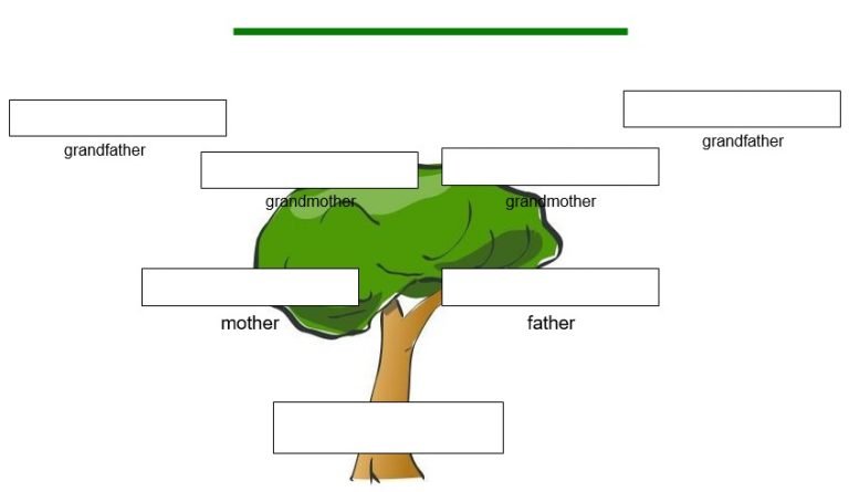 free genogram template 13