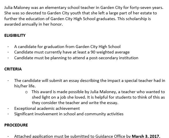 free scholarship application template 10