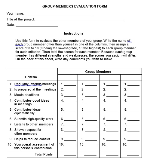 group members evaluation form
