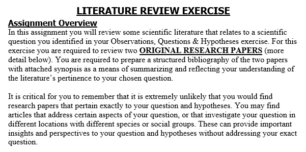 literature review exercise template