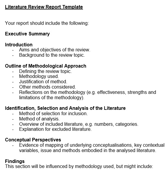 literature review report template