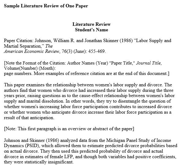 sample literature review of one paper