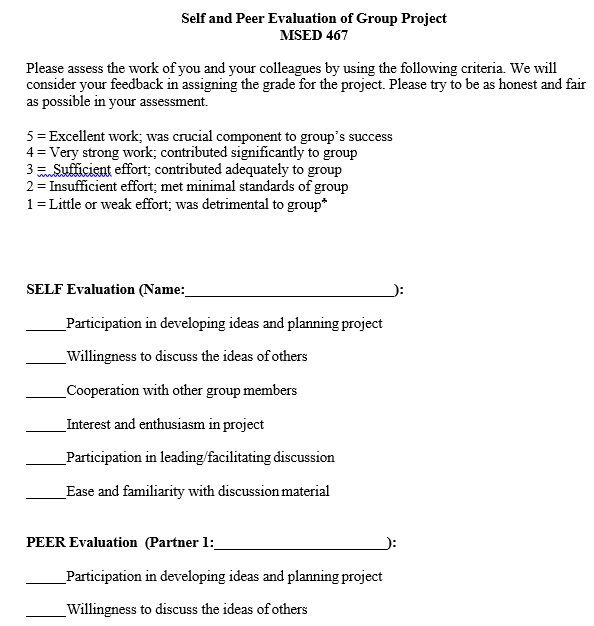 self and peer evaluation of group project