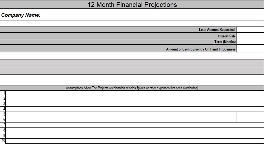 12 month financial projection template
