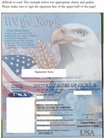 free passport photo template