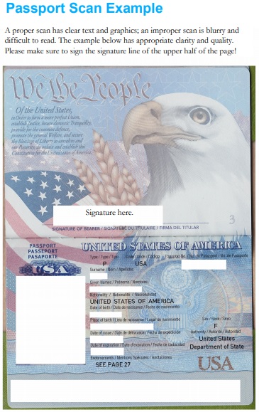 free passport photo template