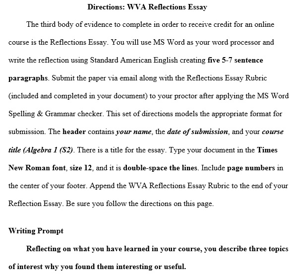 wva reflections essay example
