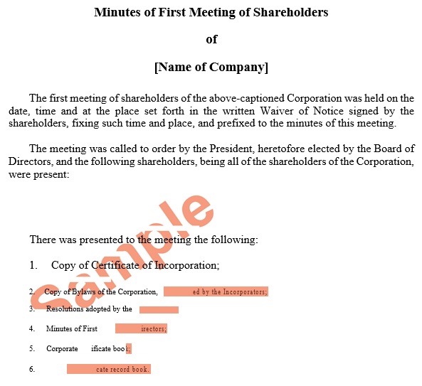 minutes of first meeting of shareholders