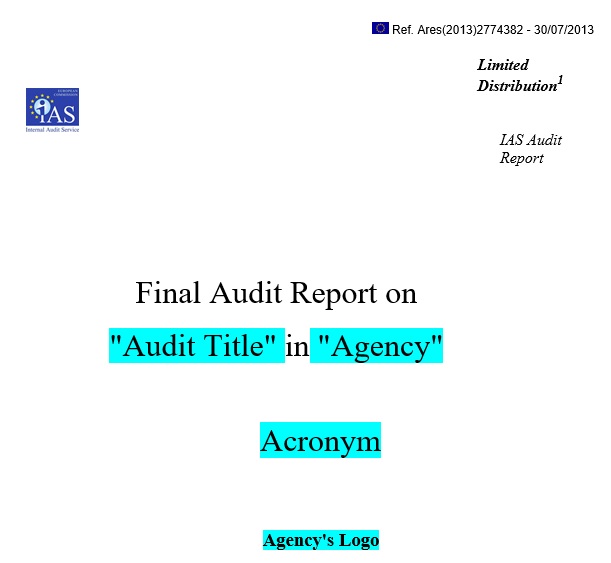 final audit report template