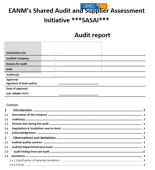 free audit report template 15