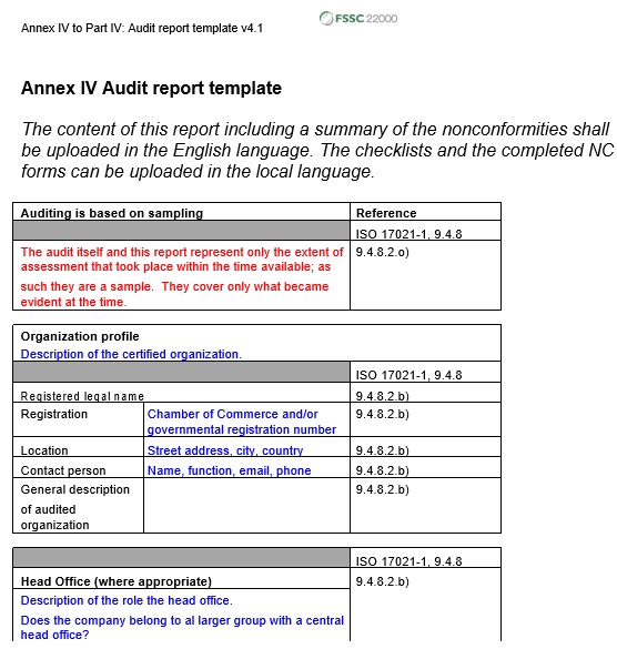 free audit report template 16