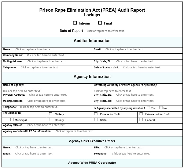 free audit report template 5