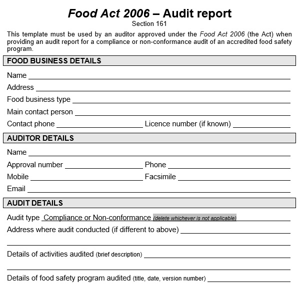 free audit report template 7