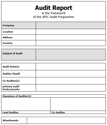 free audit report template 8