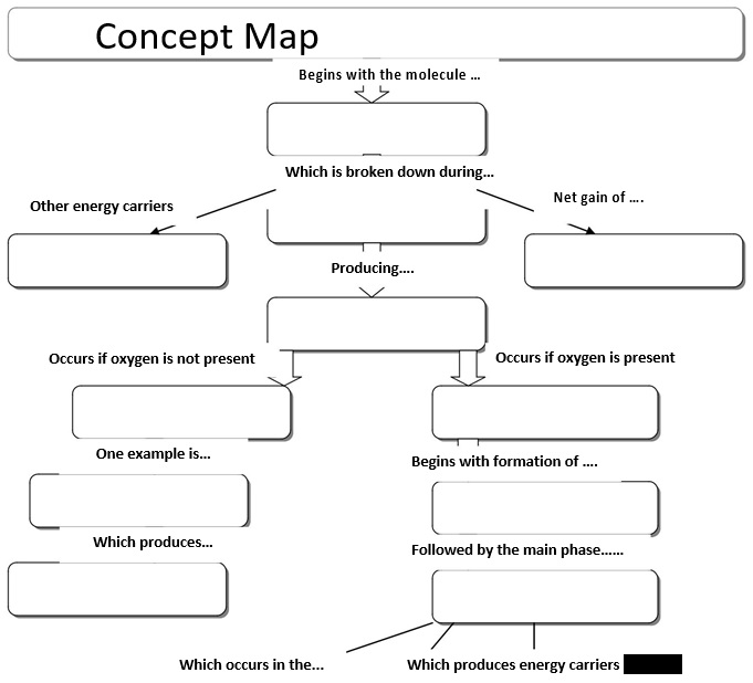 free concept map template 4