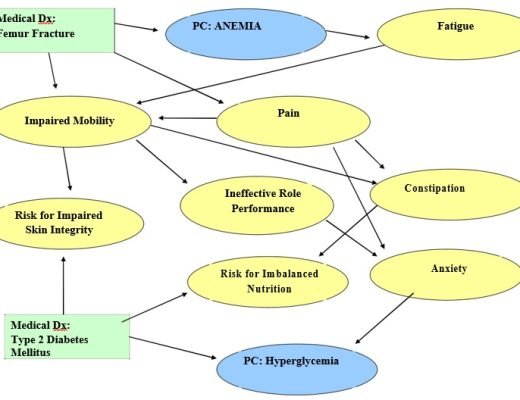 free concept map template 9