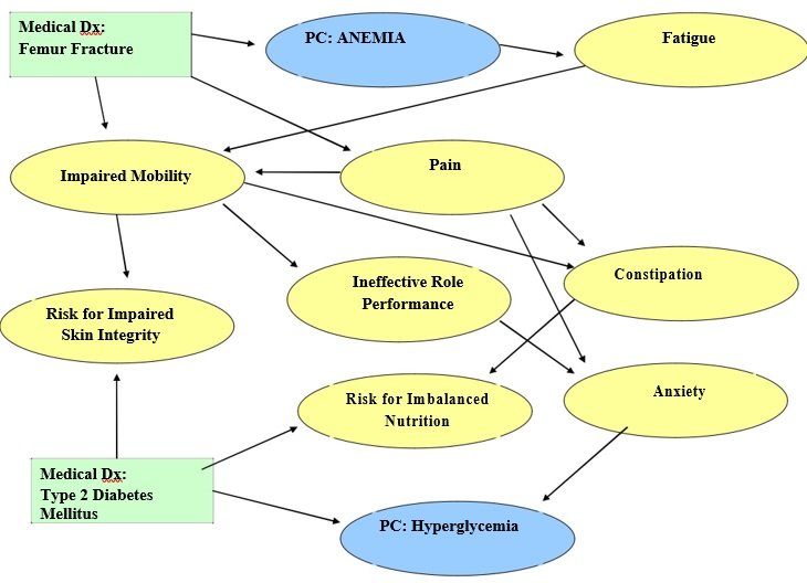 free concept map template 9