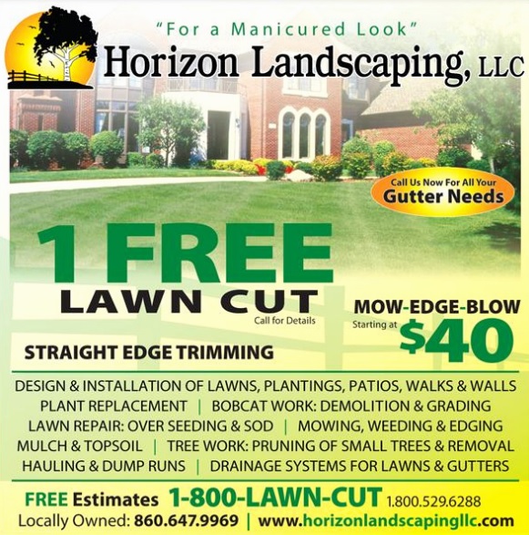 free lawn care flyer template 3