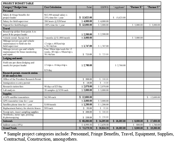 free project budget template 11