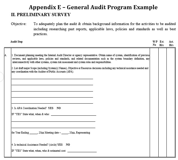general audit program example