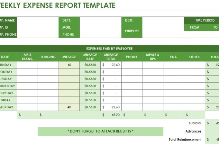 weekly expense report template
