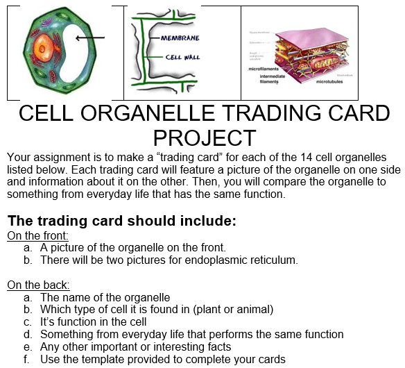 cell organelle trading card project